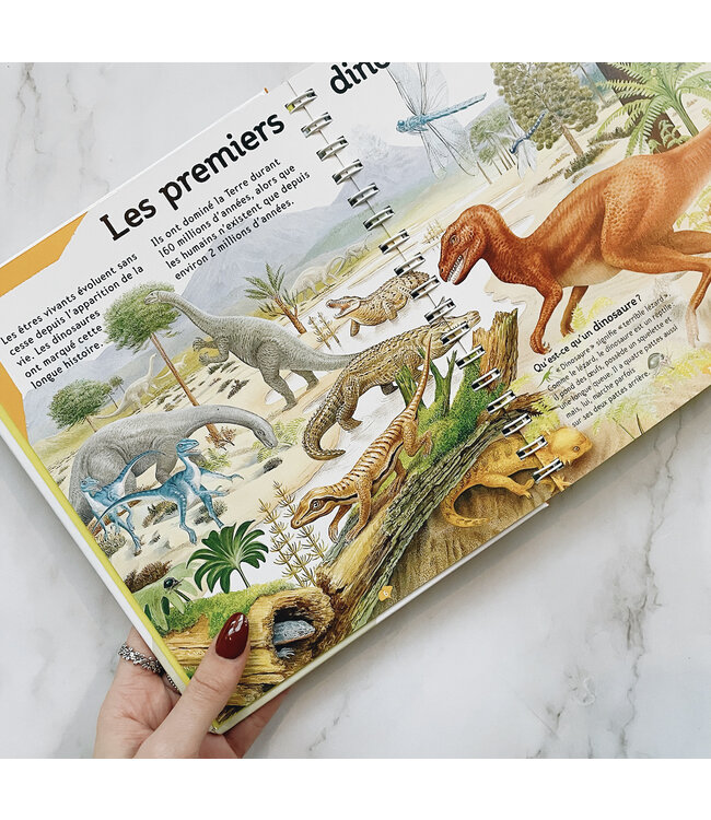 GALLIMARD JEUNESSE LIVRE - LA PETITE ENCYCLOPEDIE DES DINOSAURES