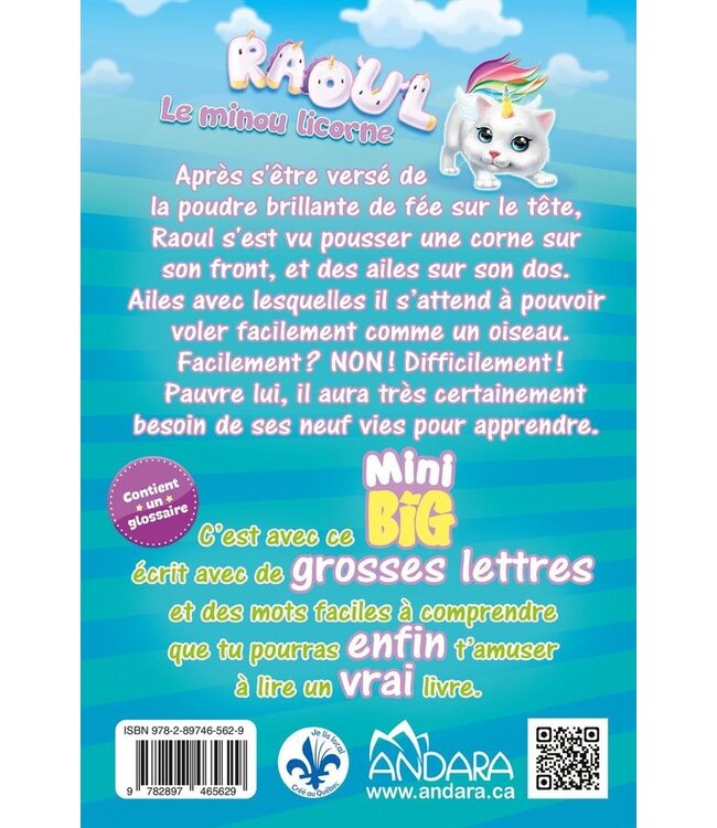 MON MINI BIG À MOI - RAOUL LE MINOU LICORNE