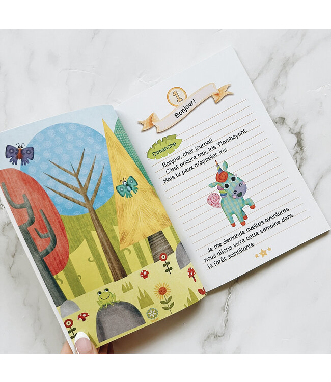 SCHOLASTIC LIVRE - JOURNAL DE LICORNE 1 - UN AMI MAGIQUE