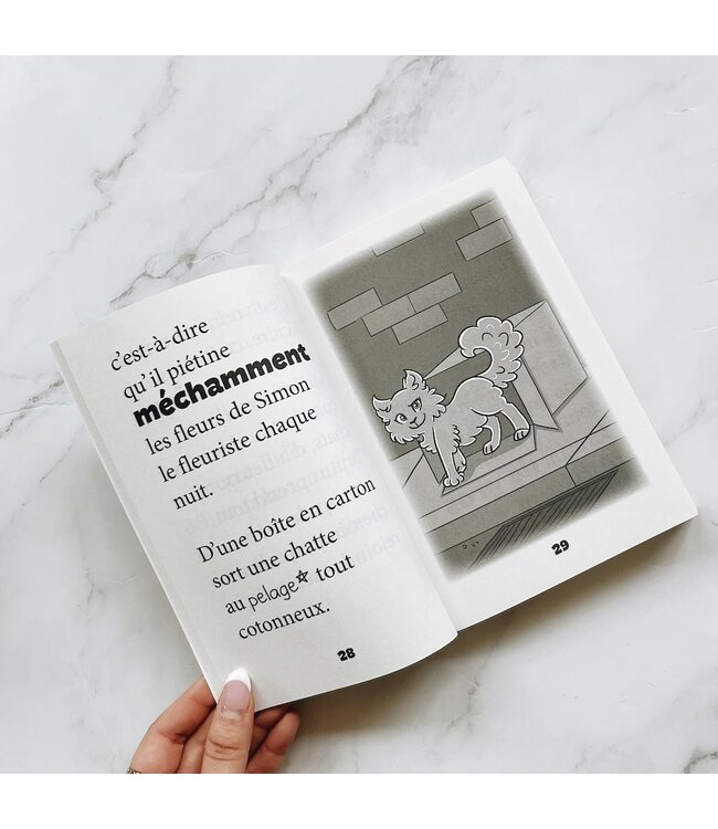 MON MINI BIG À MOI - RAOUL LE MINOU LICORNE