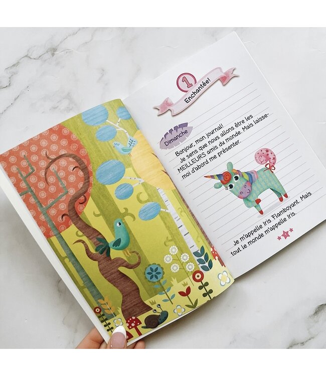 SCHOLASTIC LE JOURNAL DE LICORNE - LA PRINCESSE DES GOBELINS