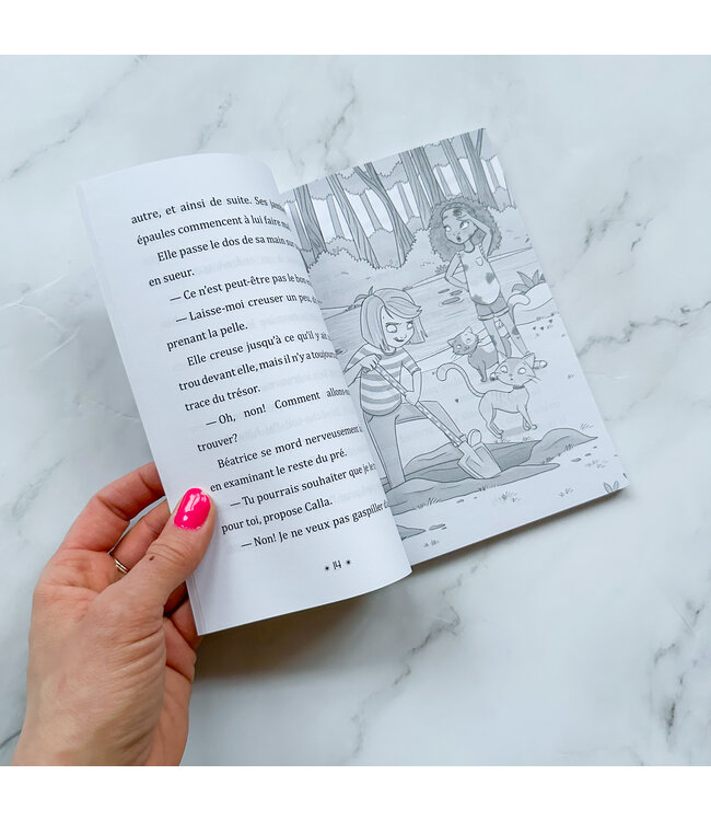 SCHOLASTIC LIVRE - LA FÉE DES SOUHAITS 2 : QUELLE CHASSE AU TRÉSOR !