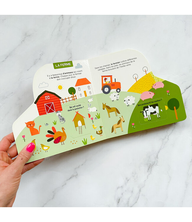 AUZOU LIVRE - LES ANIMAUX (FLAP)