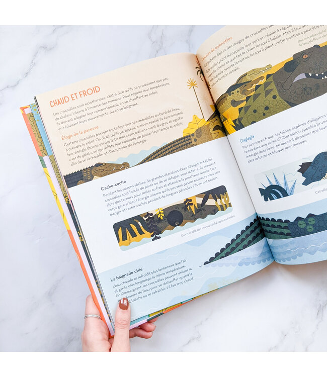 GALLIMARD JEUNESSE LIVRE - CROCODILES