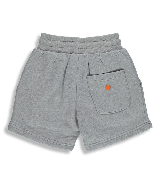 BIRDZ SHORT - GRIS
