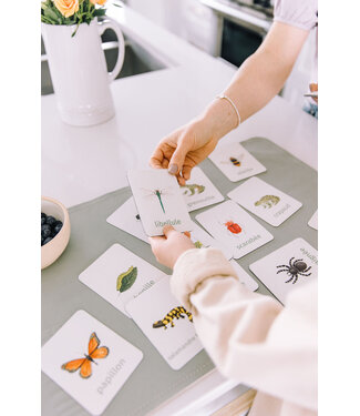 PETIT APPRENTI ENS. D'AIMANTS D'APPRENTISSAGE - BESTIOLES
