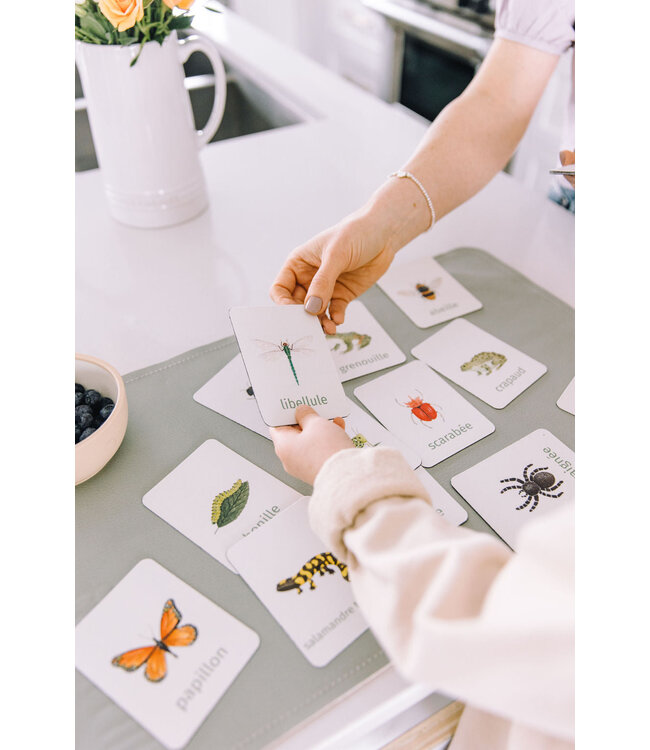 PETIT APPRENTI ENS. D'AIMANTS D'APPRENTISSAGE - BESTIOLES