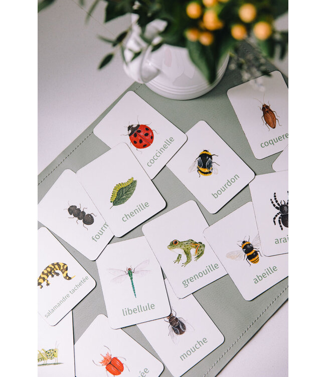 PETIT APPRENTI ENS. D'AIMANTS D'APPRENTISSAGE - BESTIOLES