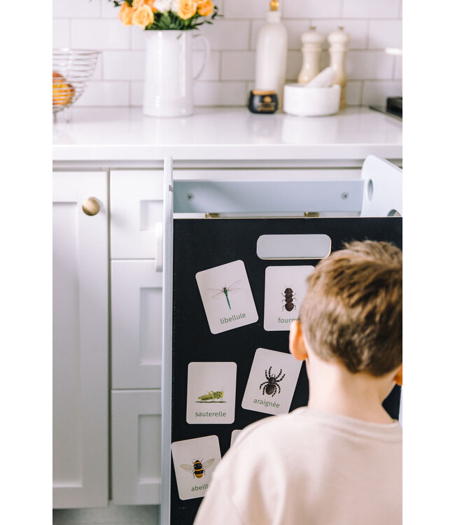 PETIT APPRENTI ENS. D'AIMANTS D'APPRENTISSAGE - BESTIOLES