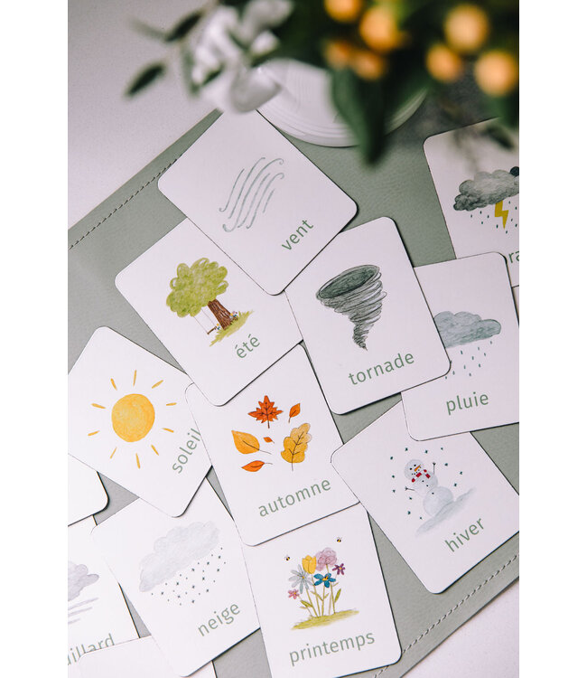 PETIT APPRENTI ENS. D'AIMANTS D'APPRENTISSAGE - MÉTÉO ET SAISONS