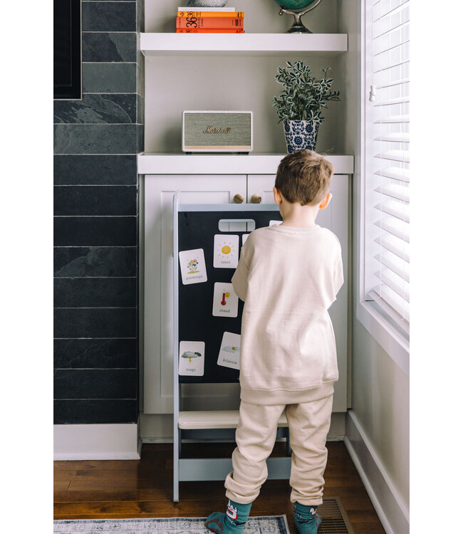 PETIT APPRENTI ENS. D'AIMANTS D'APPRENTISSAGE - MÉTÉO ET SAISONS