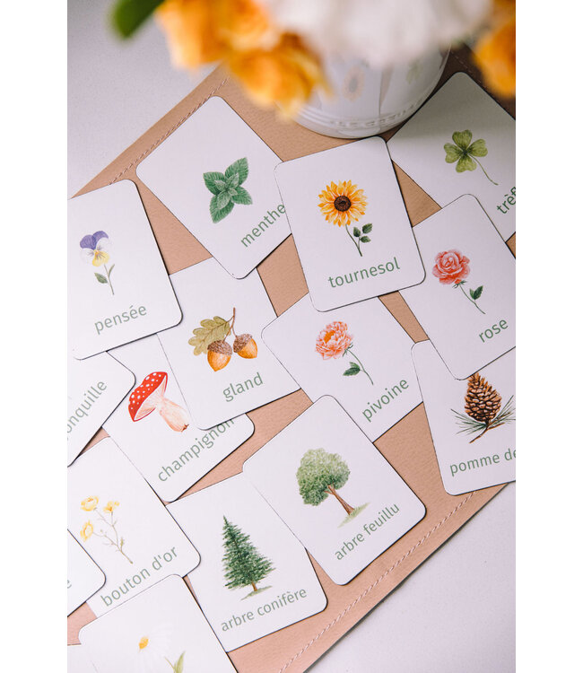 PETIT APPRENTI ENS. D'AIMANTS D'APPRENTISSAGE - BOTANIQUE