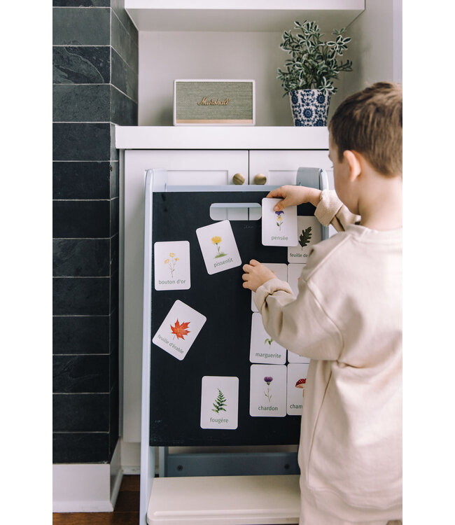 PETIT APPRENTI ENS. D'AIMANTS D'APPRENTISSAGE - BOTANIQUE