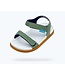 NATIVE SANDALE CHARLEY - LOCH GREEN/SHELL WHITE