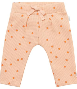 NOPPIES PANTALON NORTH BELLE - ALMOST APRICOT