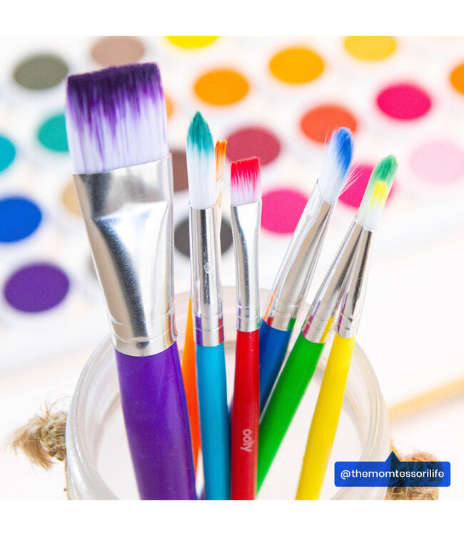 OOLY ENS. DE 7 PINCEAUX