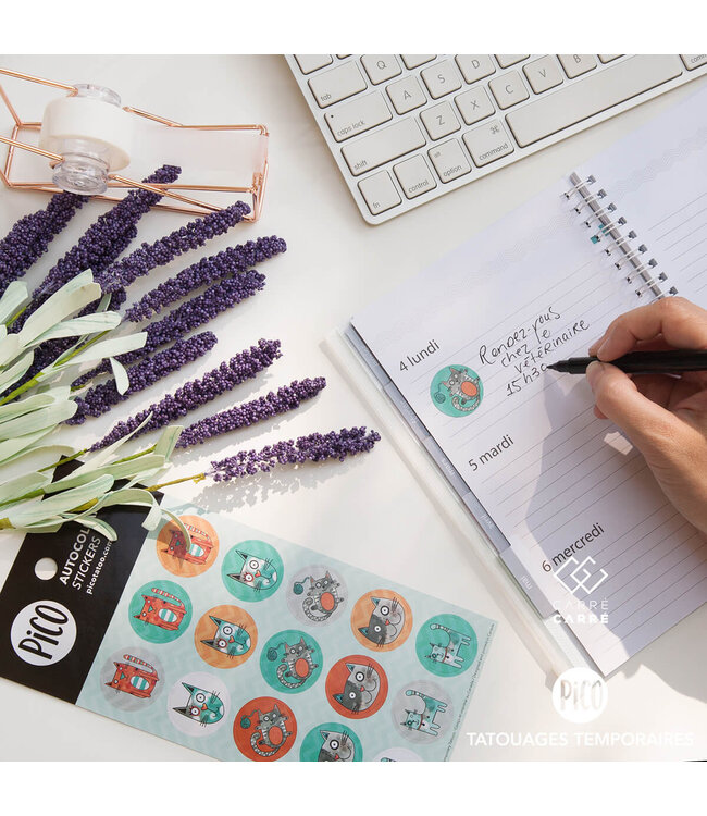 PiCO TATOO AUTOCOLLANT - BIBI LE CHAT GRIS