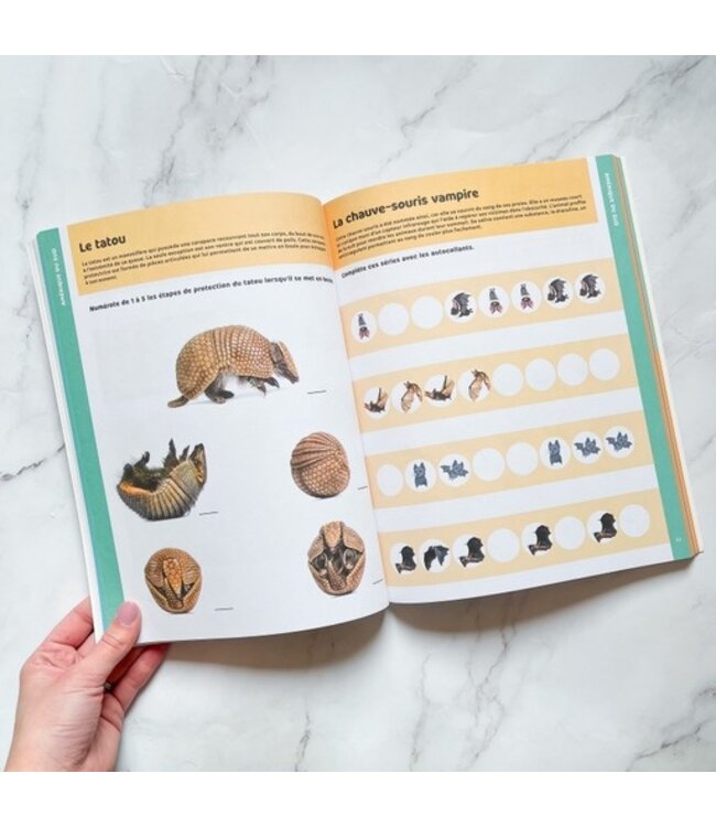 JEUX ET COLORIAGES - ANIMAUX