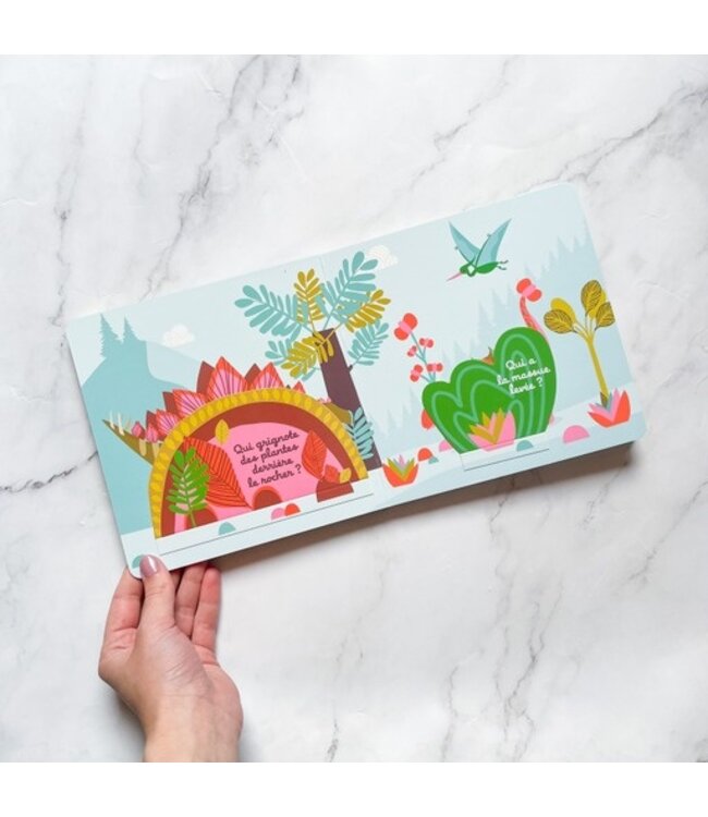 LIVRE - QUI SE CACHE ICI ?