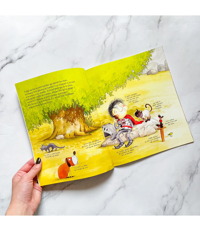 SCHOLASTIC LIVRE - LE PETIT CHEVALIER QUI N'AIMAIT PAS LA PLUIE