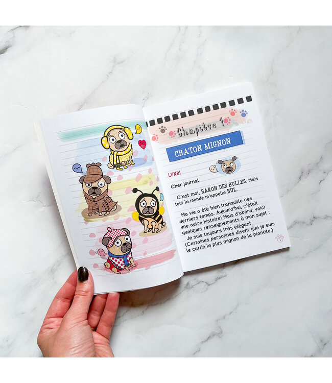 SCHOLASTIC LIVRE - JOURNAL D'UN CARLIN : LAVE-O-THON POUR CHIEN