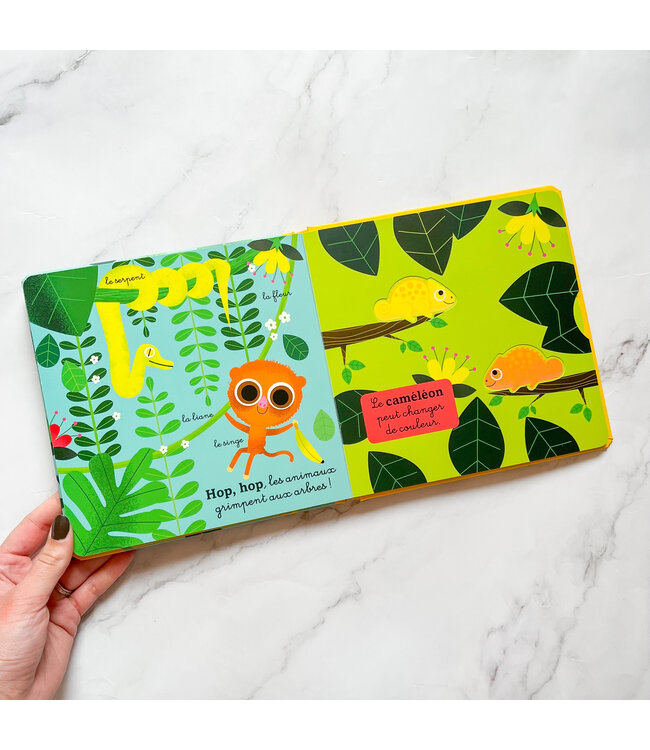 AUZOU MON ANIM'AGIER - LA JUNGLE ET LA SAVANE