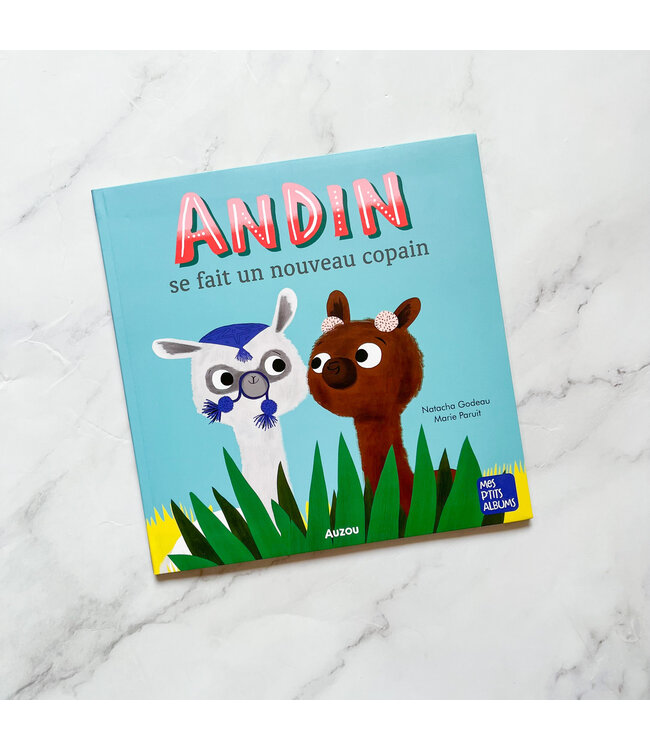 AUZOU LIVRE - ANDIN SE FAIT UN NOUVEAU COPAIN