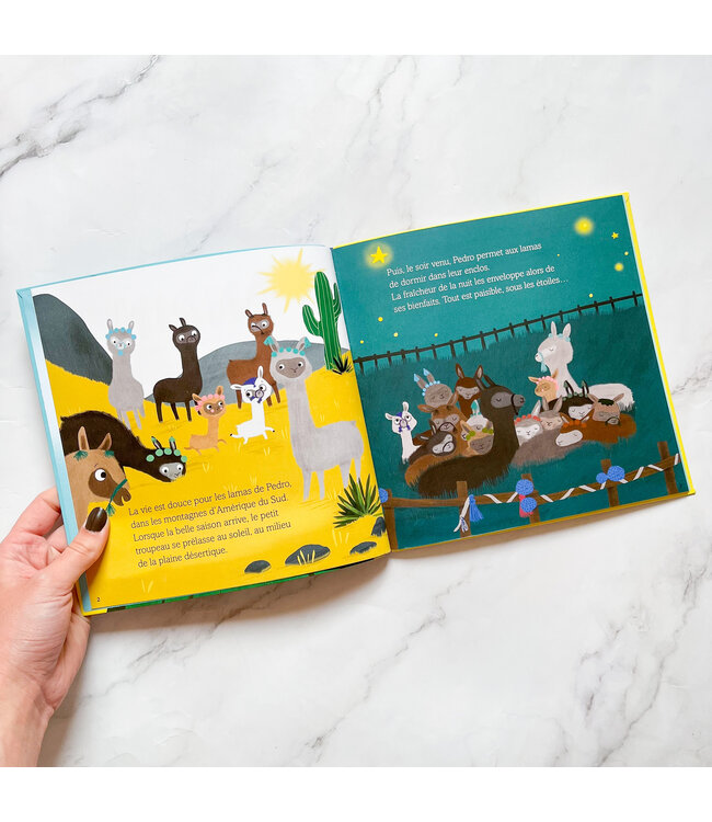 AUZOU LIVRE - ANDIN SE FAIT UN NOUVEAU COPAIN