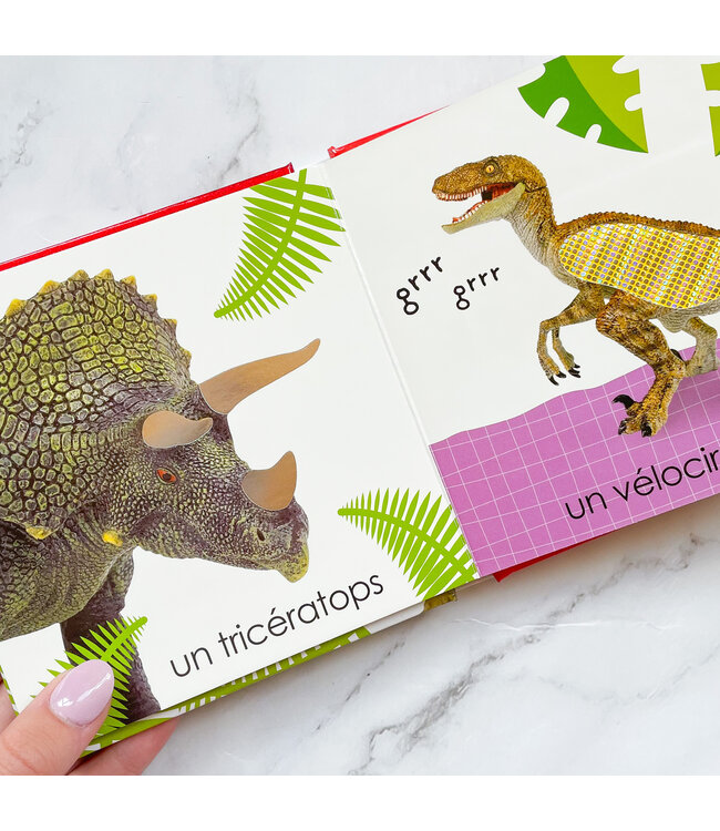 SCHOLASTIC LIVRE - TOUCHE À TOUT : DINOSAURES