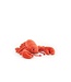 JELLYCAT PELUCHE - HOMARD SENSATIONNEL