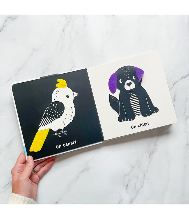 AUZOU LIVRE - MES PREMIERS FLAPS : LES ANIMAUX DE COMPAGNIES