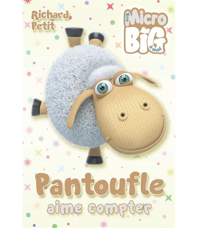 LIVRE - PANTOUFLE AIME COMPTER