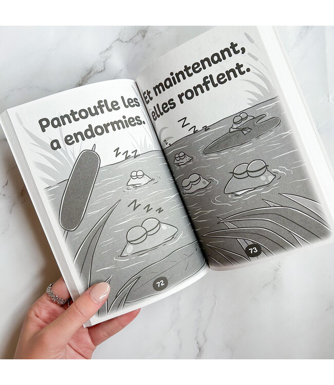 LIVRE - PANTOUFLE AIME COMPTER