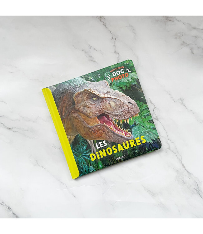 AUZOU LIVRE MON PREMIER DOC PHOTO - LES DINOSAURES