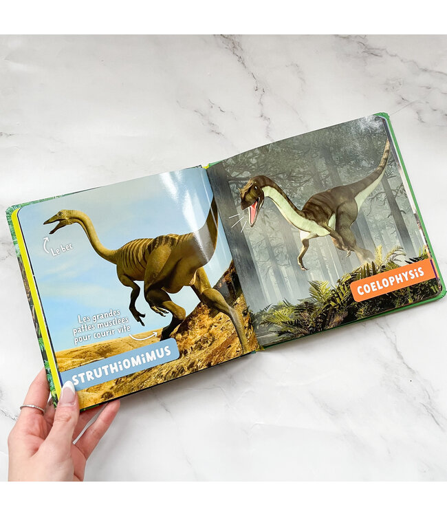 AUZOU LIVRE MON PREMIER DOC PHOTO - LES DINOSAURES