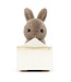 JELLYCAT PELUCHE - LAPIN MESSAGER