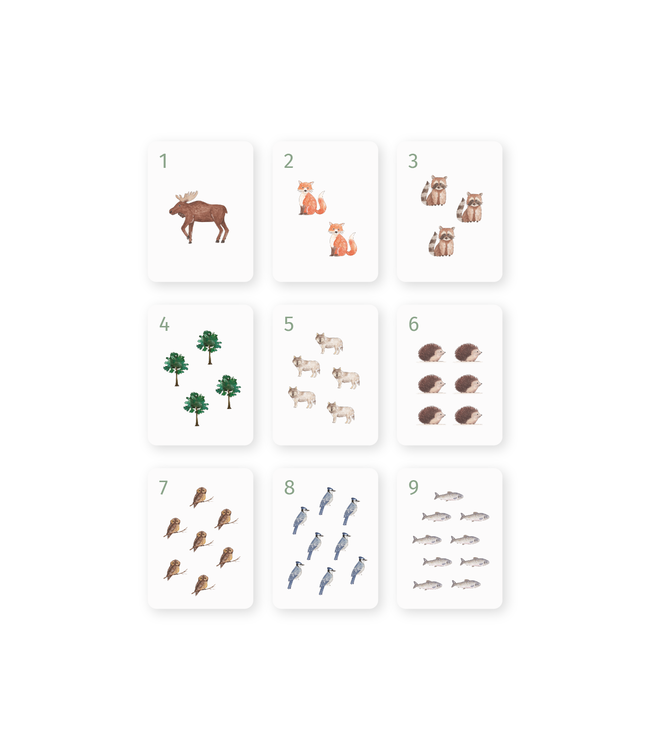 PETIT APPRENTI ENS. D'AIMANTS D'APPRENTISSAGES - NOMBRES