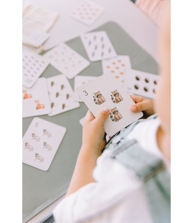 PETIT APPRENTI ENS. D'AIMANTS D'APPRENTISSAGES - NOMBRES