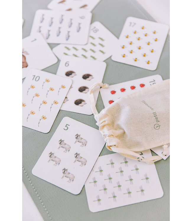 PETIT APPRENTI ENS. D'AIMANTS D'APPRENTISSAGES - NOMBRES