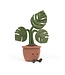 JELLYCAT PELUCHE - PLANTE MONSTER AMUSANTE