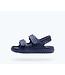 NATIVE SANDALES CHASE - REGATTA BLUE / REGATTA BLUE
