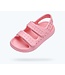 NATIVE SANDALES CHASE - PRINCESS PINK/ PRINCESS PINK