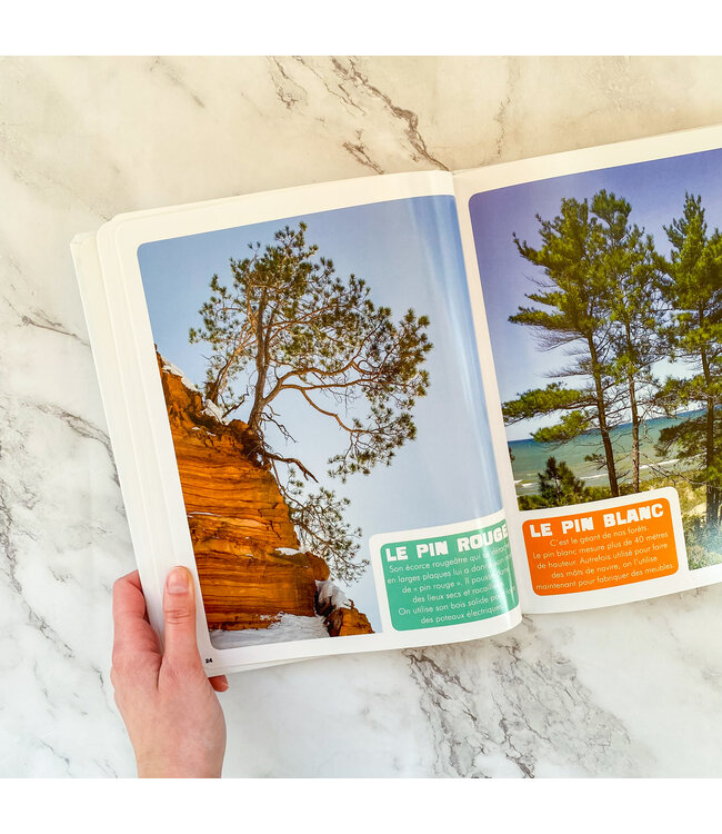 AUZOU LIVRE MON PREMIER DOC PHOTO - LA FLORE DU QC