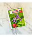 AUZOU LIVRE MON PREMIER DOC PHOTO - LA FLORE DU QC