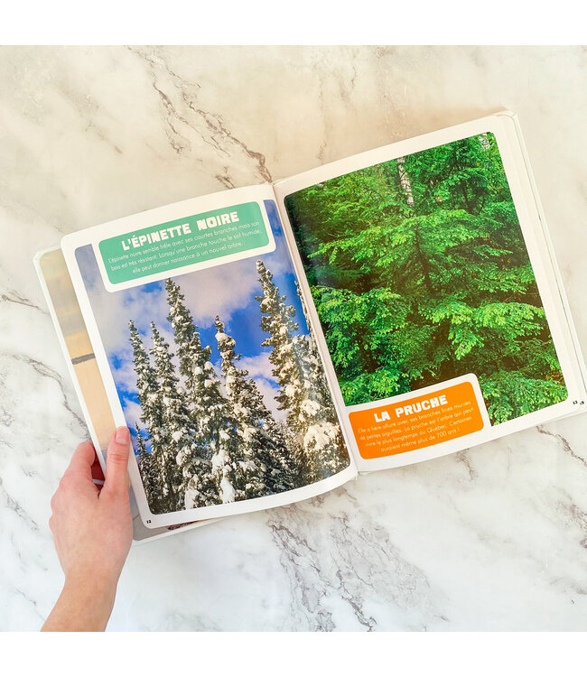 AUZOU LIVRE MON PREMIER DOC PHOTO - LES ARBRES DU QC