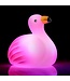 TOBAR JEU DE BAIN - FLAMANT ROSE LUMINEUX