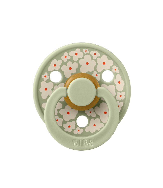 BIBS PACIFIER SUCE STUDIO (PQT 2) - SAGE MIX