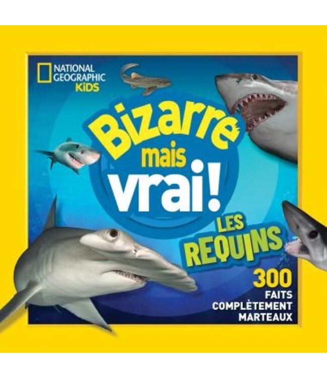 SCHOLASTIC LIVRE - BIZARRE MAIS VRAI! LES REQUINS
