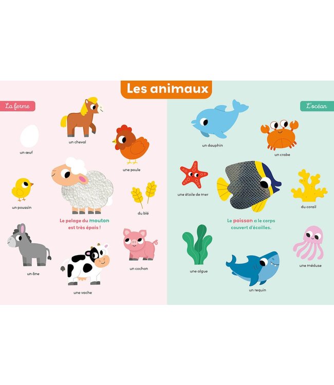 AUZOU MON PREMIER IMAGIER - À TOUCHER