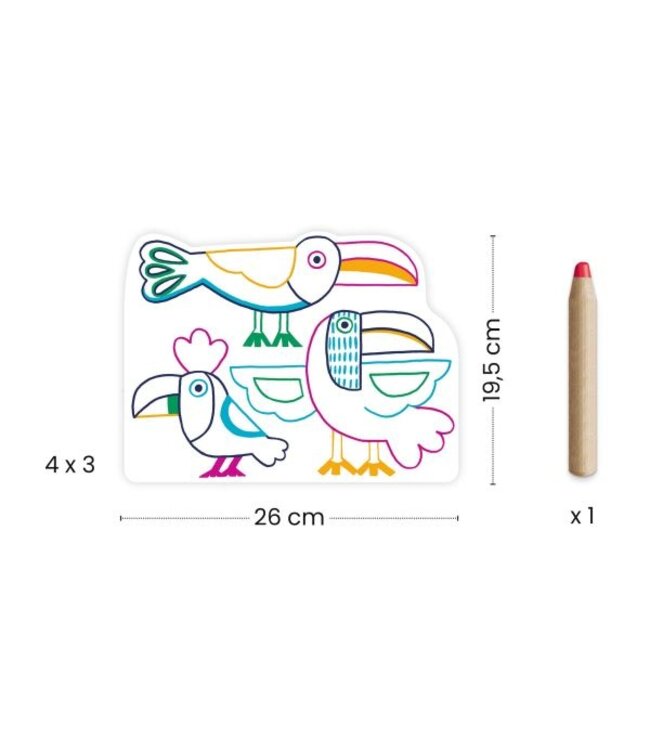 DJECO COLORIAGE - ANIMAUX SAUVAGES